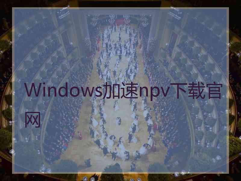 Windows加速npv下载官网