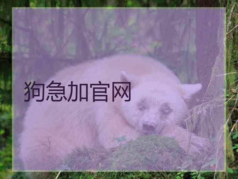 狗急加官网