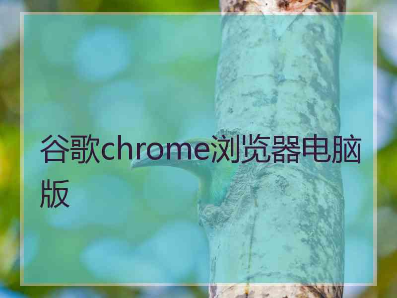 谷歌chrome浏览器电脑版