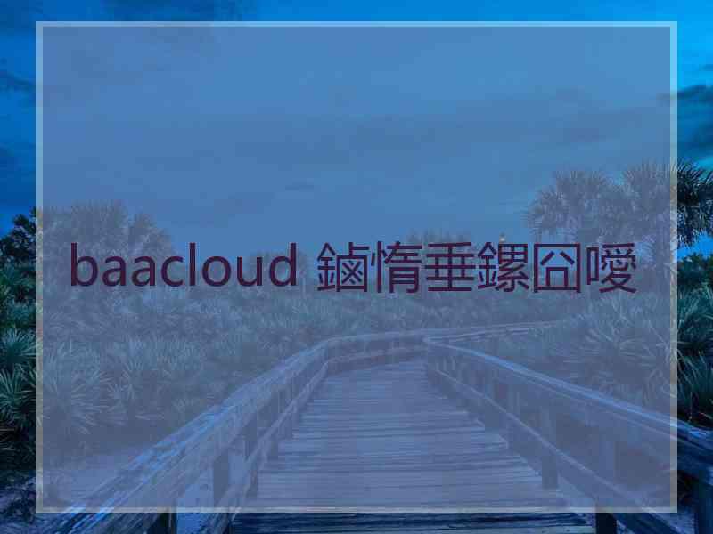 baacloud 鏀惰垂鏍囧噯