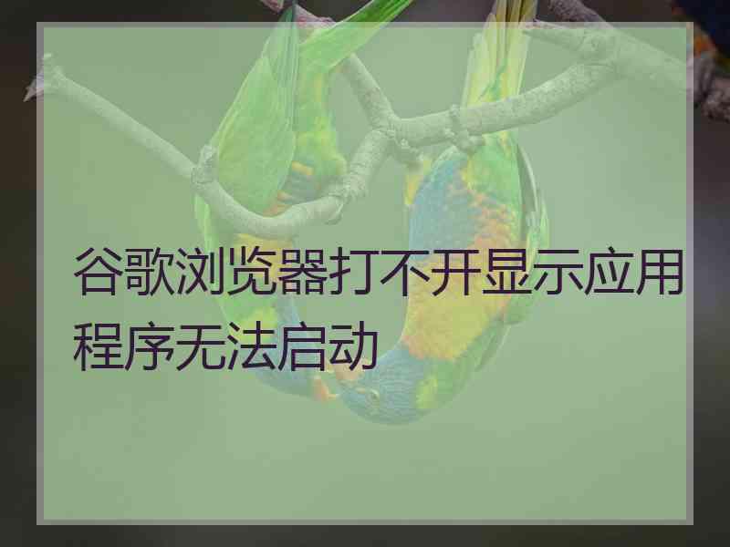 谷歌浏览器打不开显示应用程序无法启动