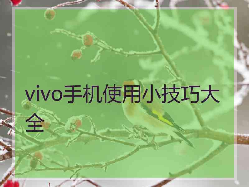 vivo手机使用小技巧大全