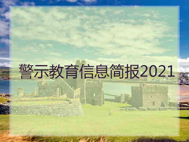 警示教育信息简报2021