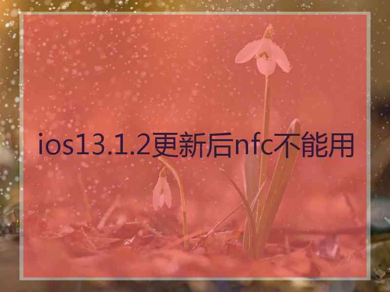 ios13.1.2更新后nfc不能用