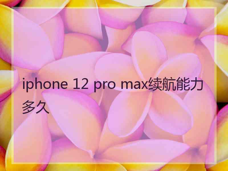 iphone 12 pro max续航能力多久