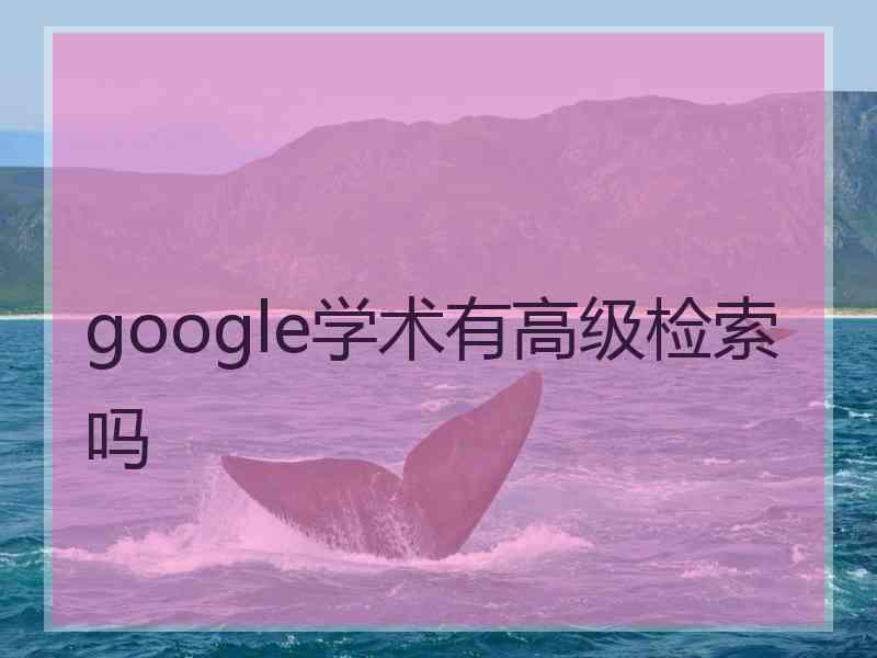 google学术有高级检索吗