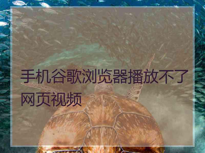 手机谷歌浏览器播放不了网页视频