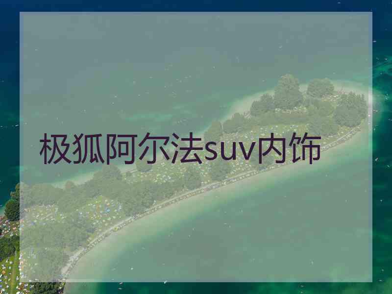 极狐阿尔法suv内饰