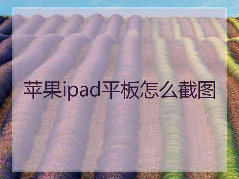 苹果ipad平板怎么截图