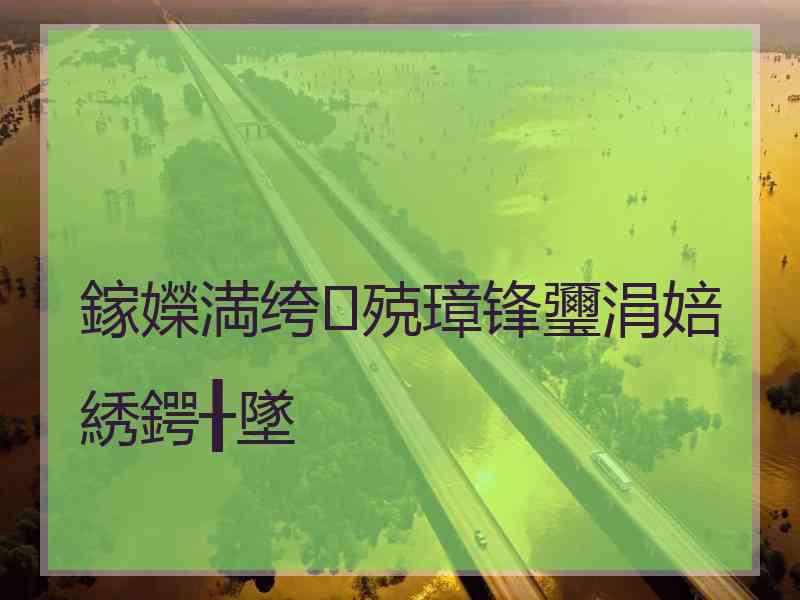 鎵嬫満绔殑璋锋瓕涓婄綉鍔╂墜