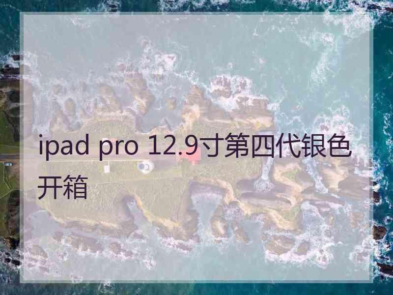 ipad pro 12.9寸第四代银色开箱