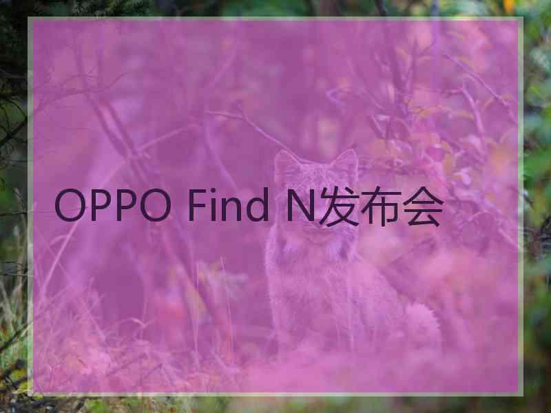 OPPO Find N发布会