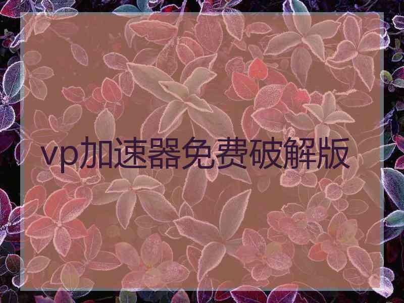 vp加速器免费破解版