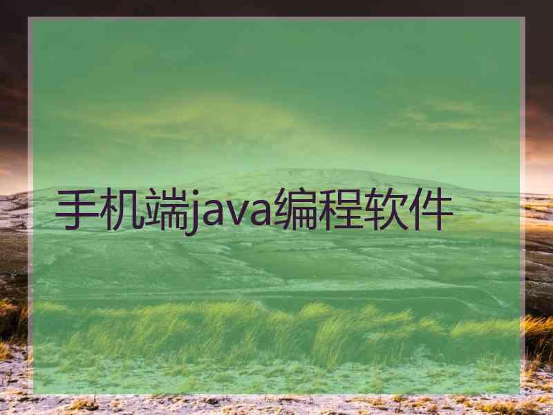 手机端java编程软件