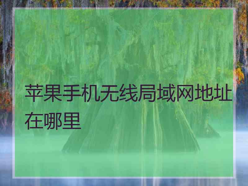 苹果手机无线局域网地址在哪里