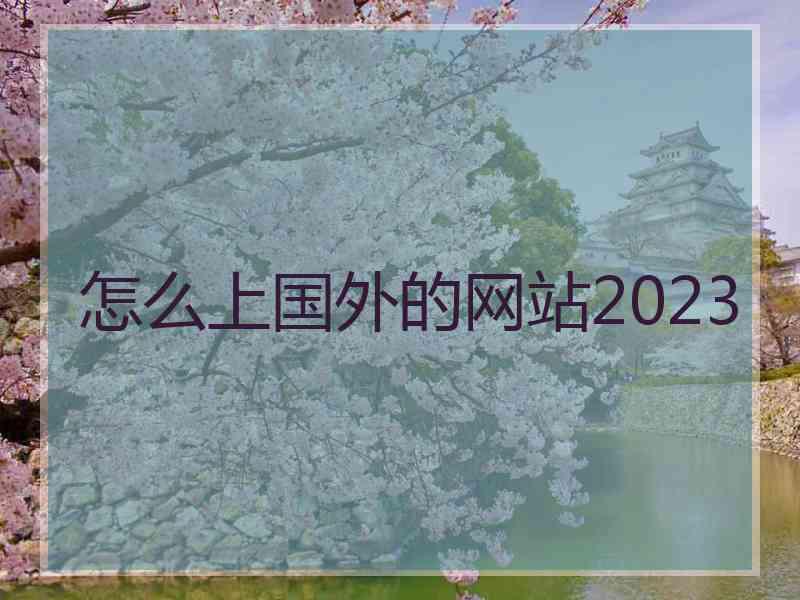 怎么上国外的网站2023