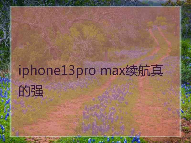 iphone13pro max续航真的强