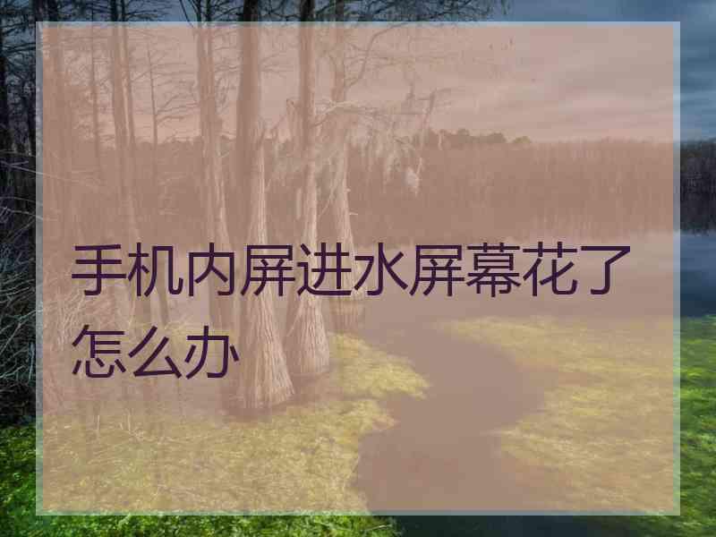 手机内屏进水屏幕花了怎么办