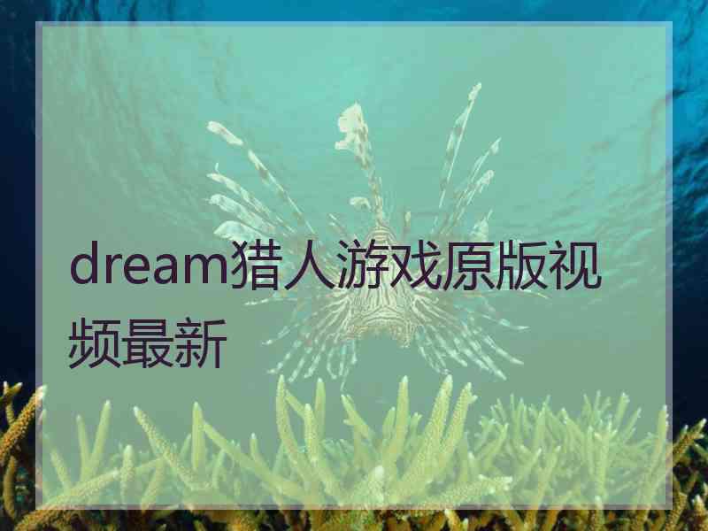 dream猎人游戏原版视频最新