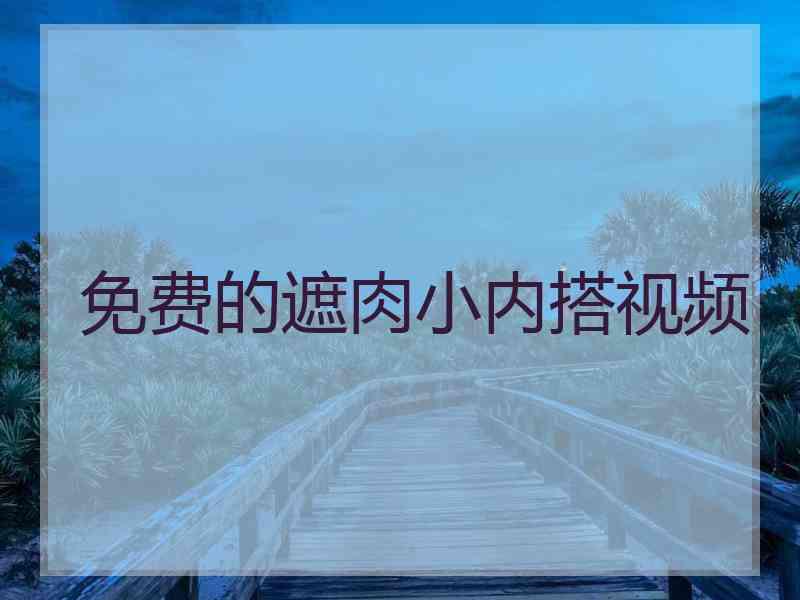 免费的遮肉小内搭视频