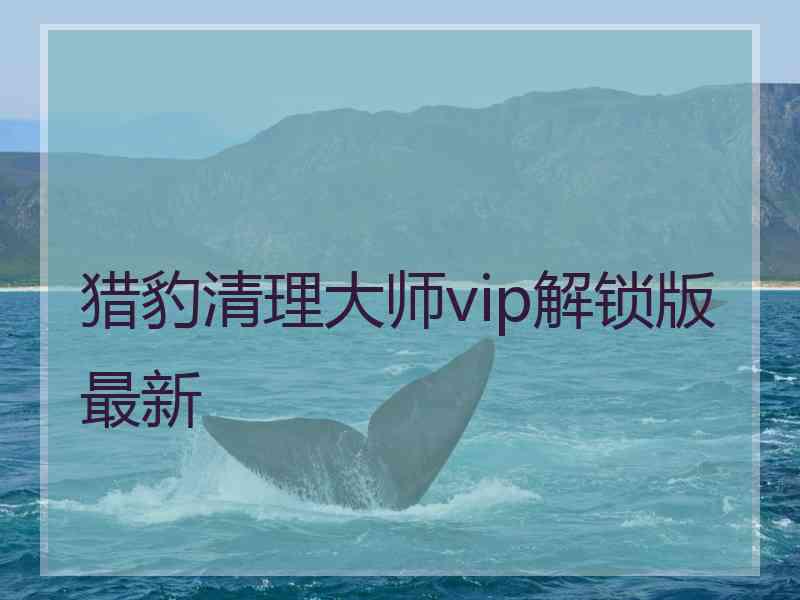 猎豹清理大师vip解锁版最新