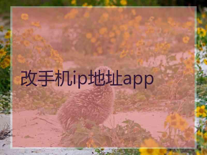 改手机ip地址app