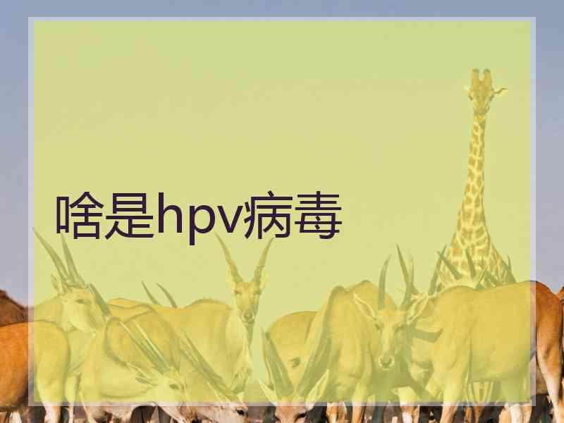 啥是hpv病毒