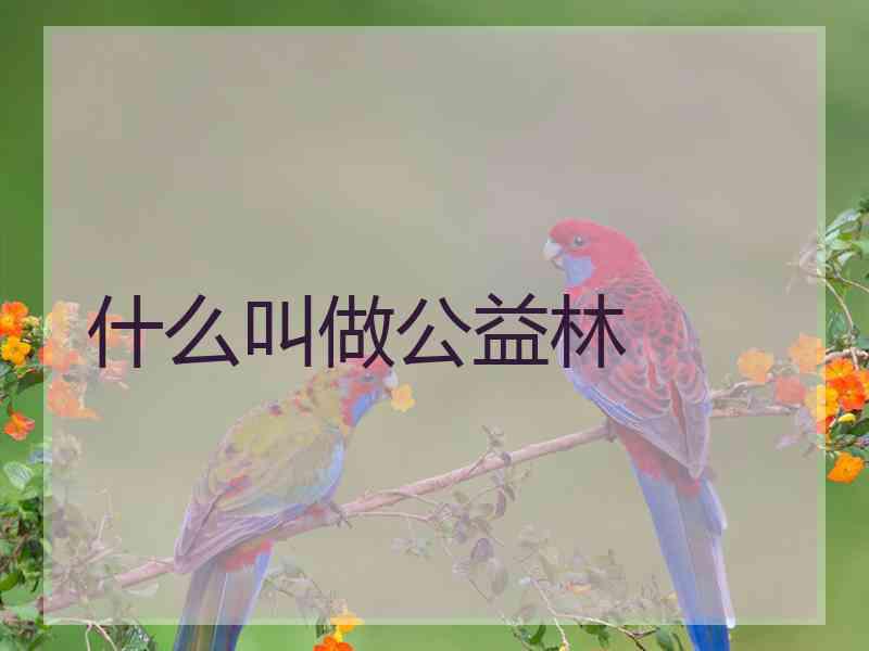 什么叫做公益林