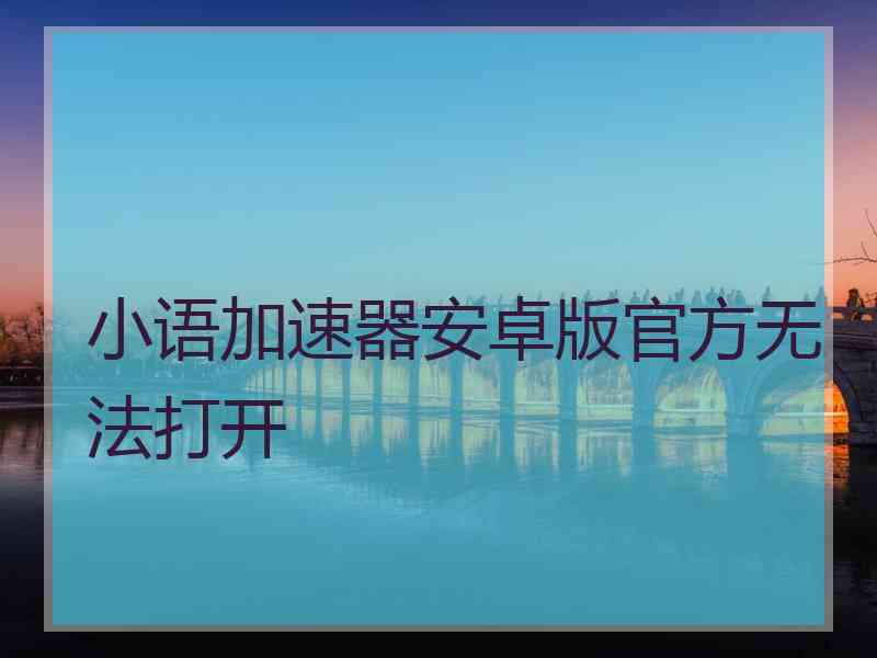 小语加速器安卓版官方无法打开