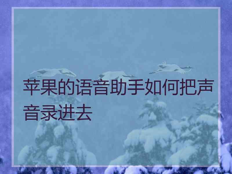 苹果的语音助手如何把声音录进去