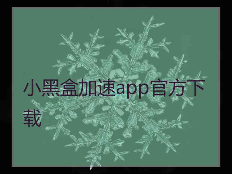 小黑盒加速app官方下载