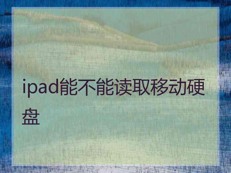 ipad能不能读取移动硬盘