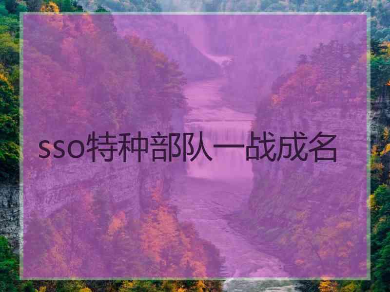 sso特种部队一战成名