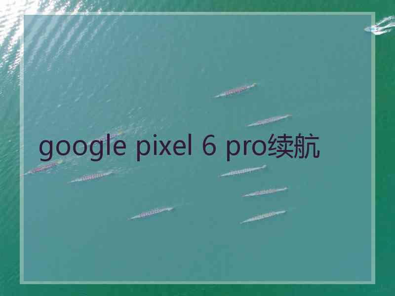 google pixel 6 pro续航