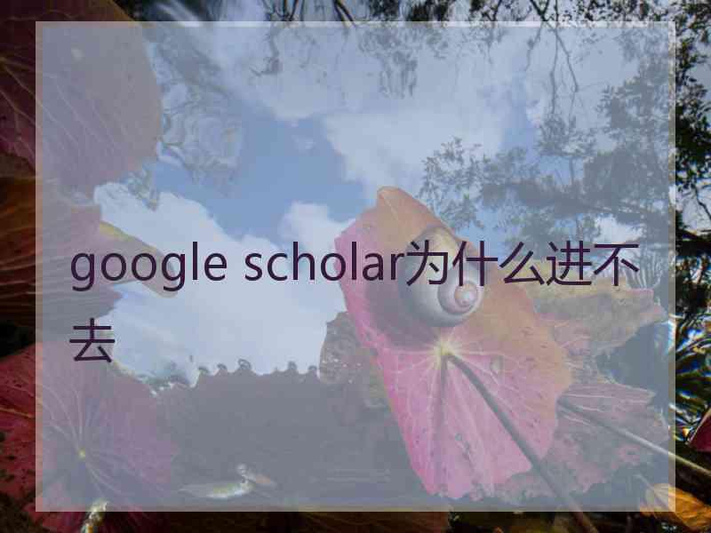 google scholar为什么进不去