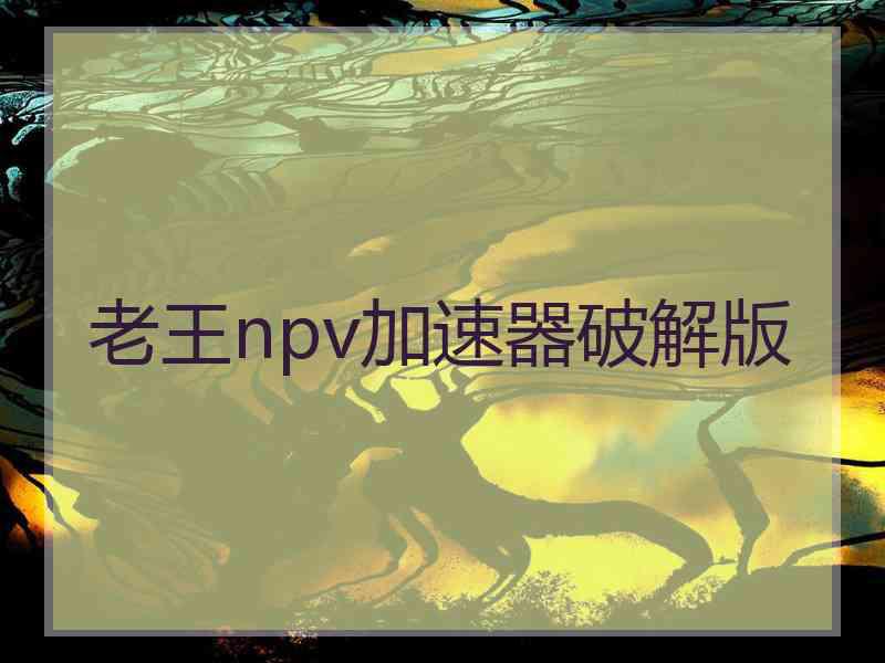 老王npv加速器破解版