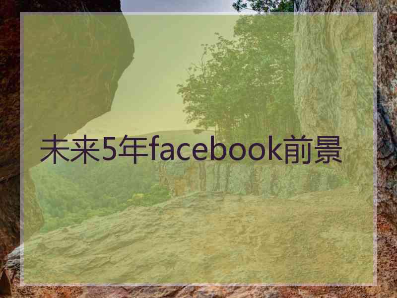 未来5年facebook前景