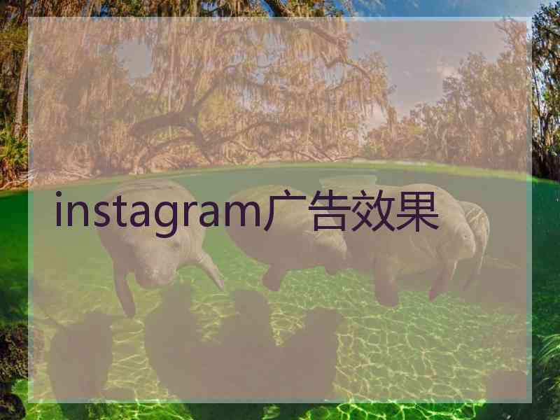 instagram广告效果