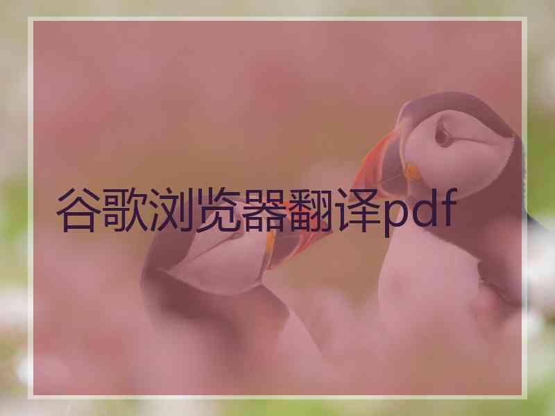 谷歌浏览器翻译pdf