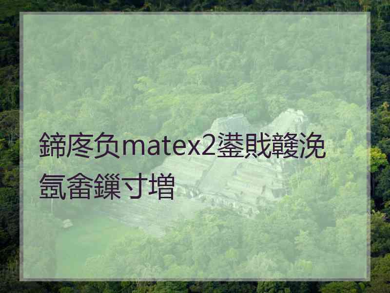 鍗庝负matex2鍙戝竷浼氬畬鏁寸増