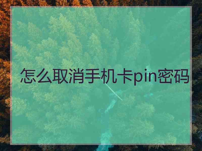 怎么取消手机卡pin密码