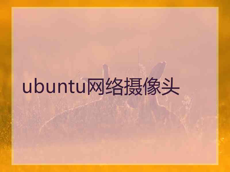 ubuntu网络摄像头