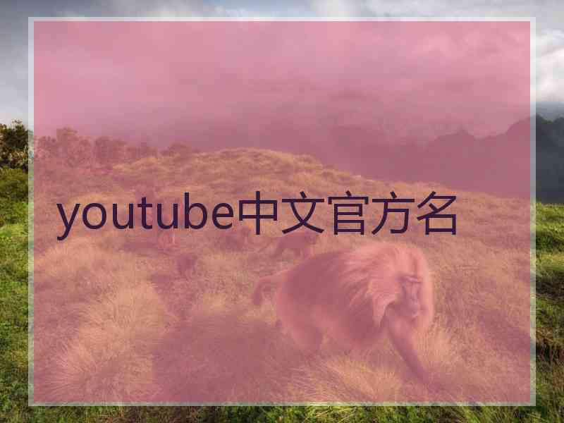 youtube中文官方名