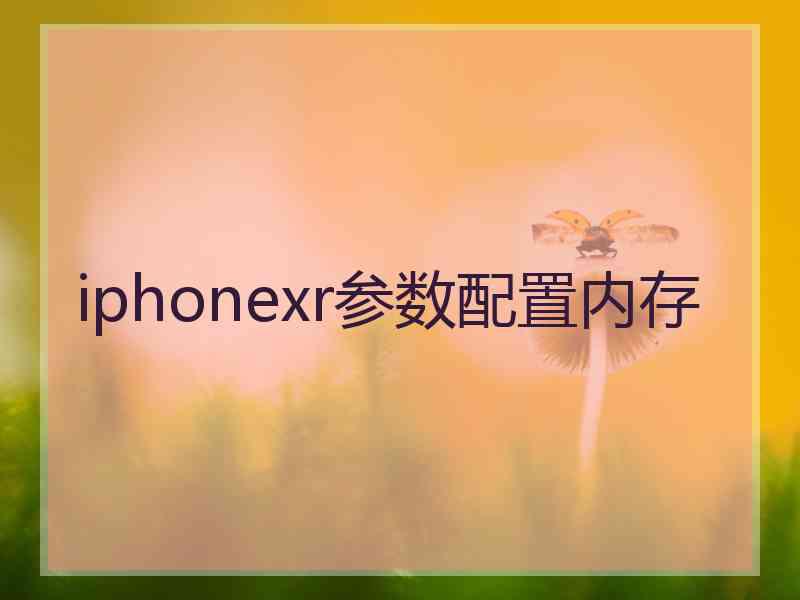 iphonexr参数配置内存