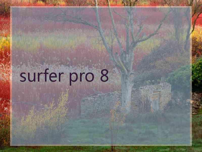 surfer pro 8