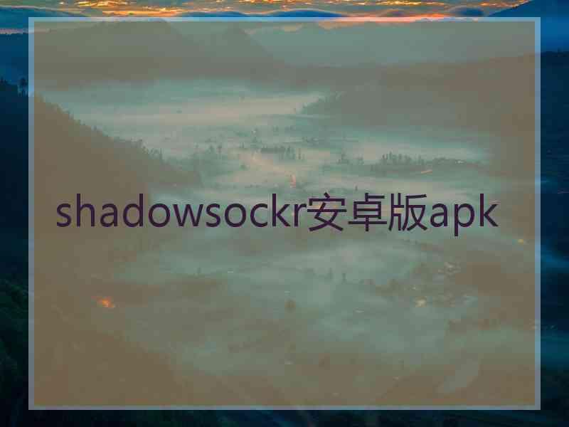 shadowsockr安卓版apk