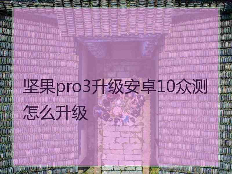 坚果pro3升级安卓10众测怎么升级