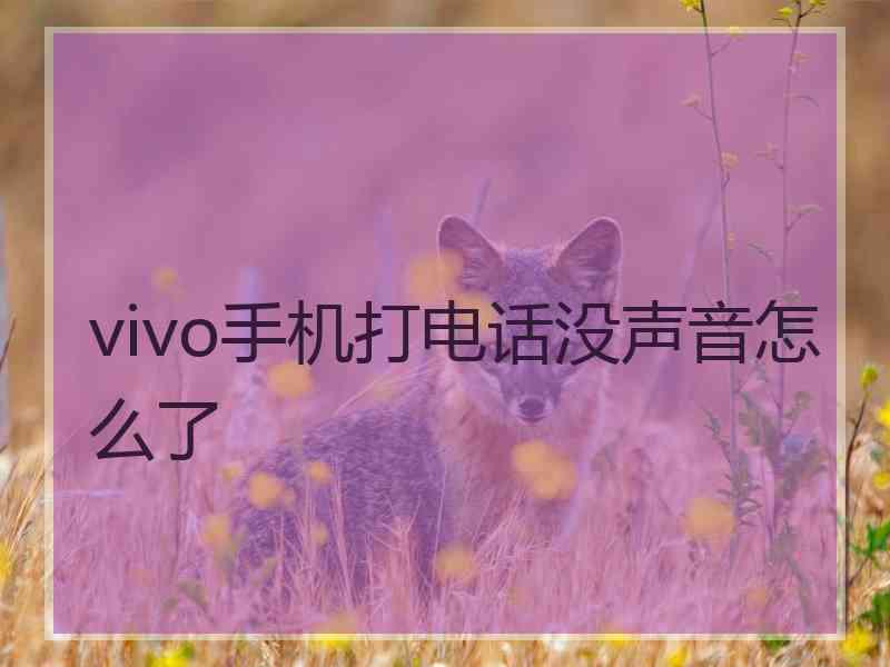 vivo手机打电话没声音怎么了