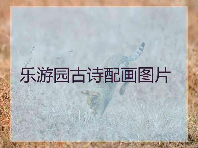 乐游园古诗配画图片