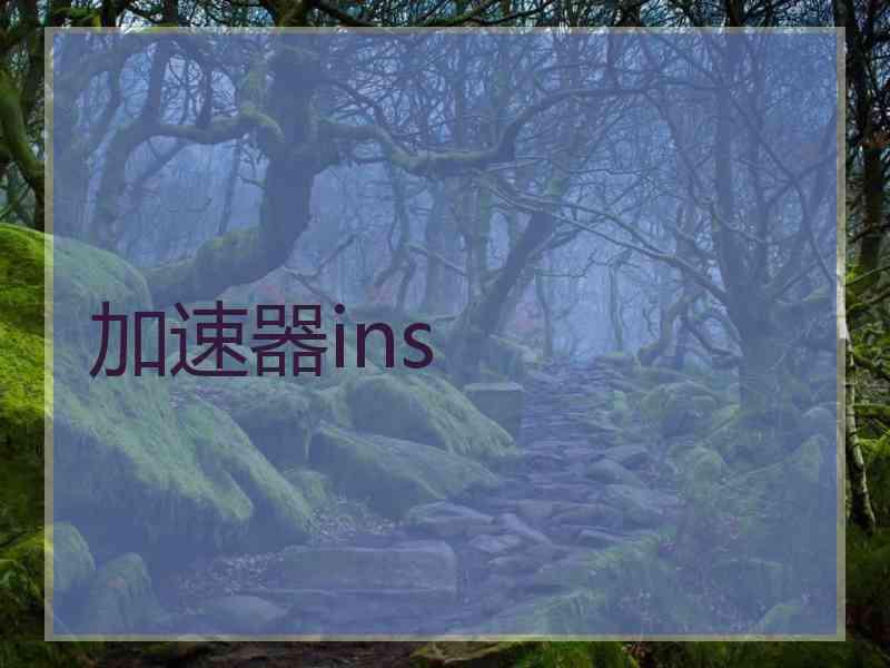 加速器ins